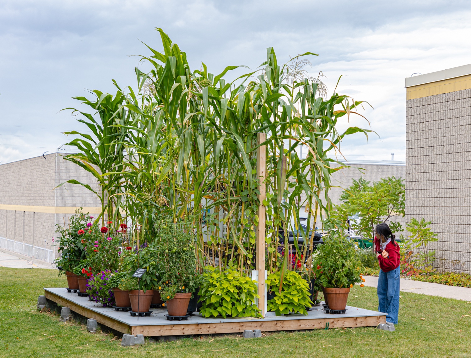 Corn = Life: The Power of Naming documentation 5
