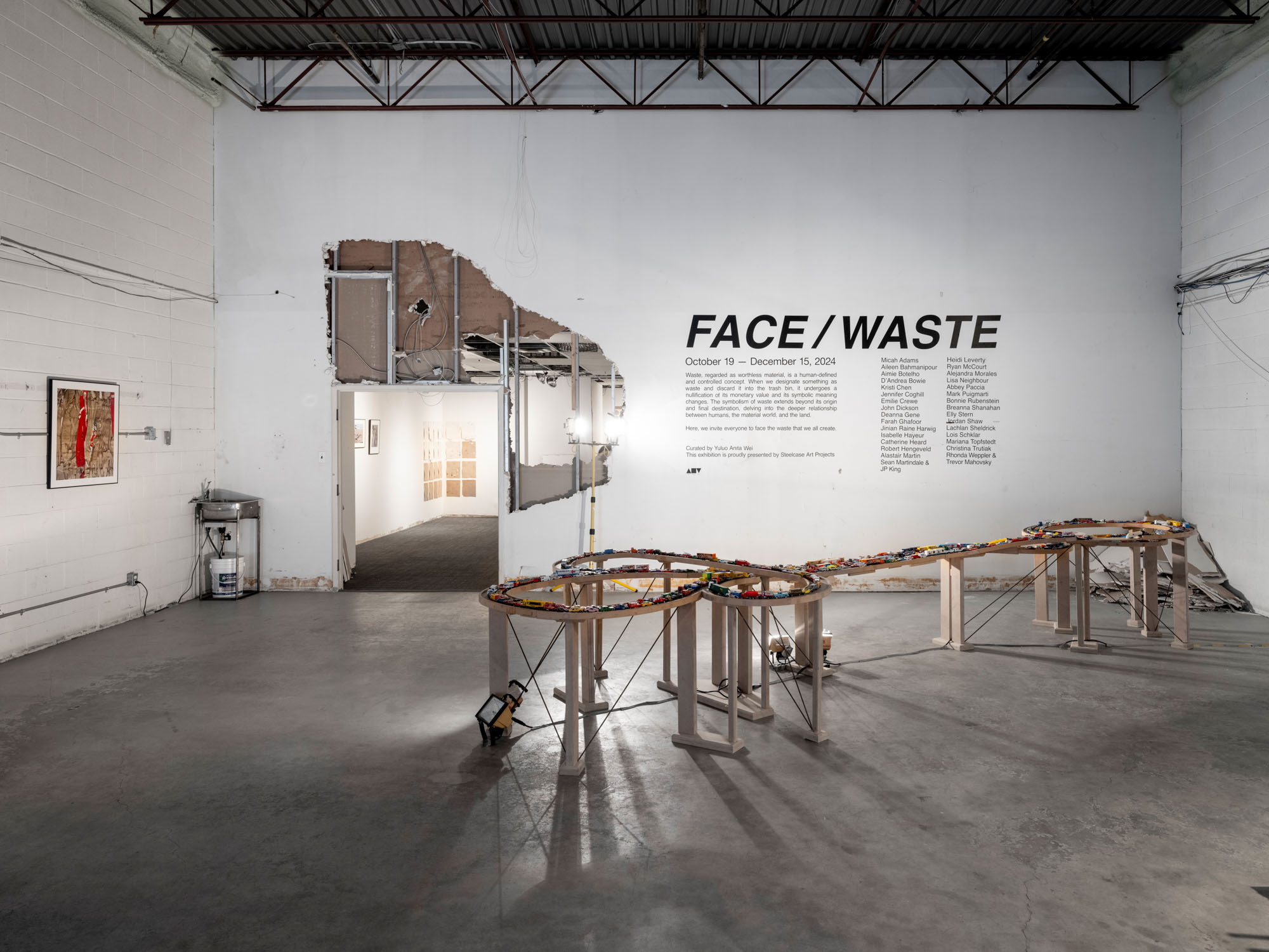 FACE / WASTE documentation 3