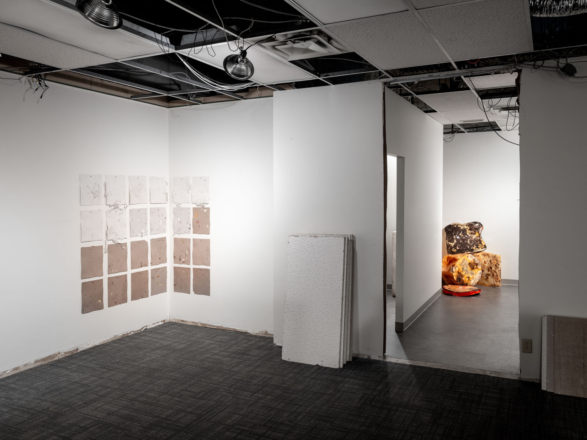 FACE / WASTE documentation 19