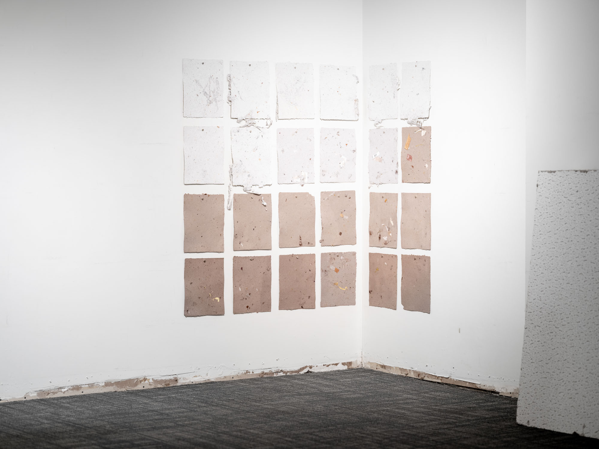 FACE / WASTE documentation 23