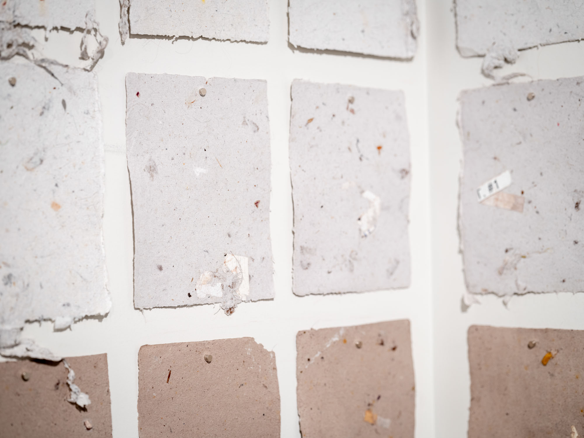 FACE / WASTE documentation 24