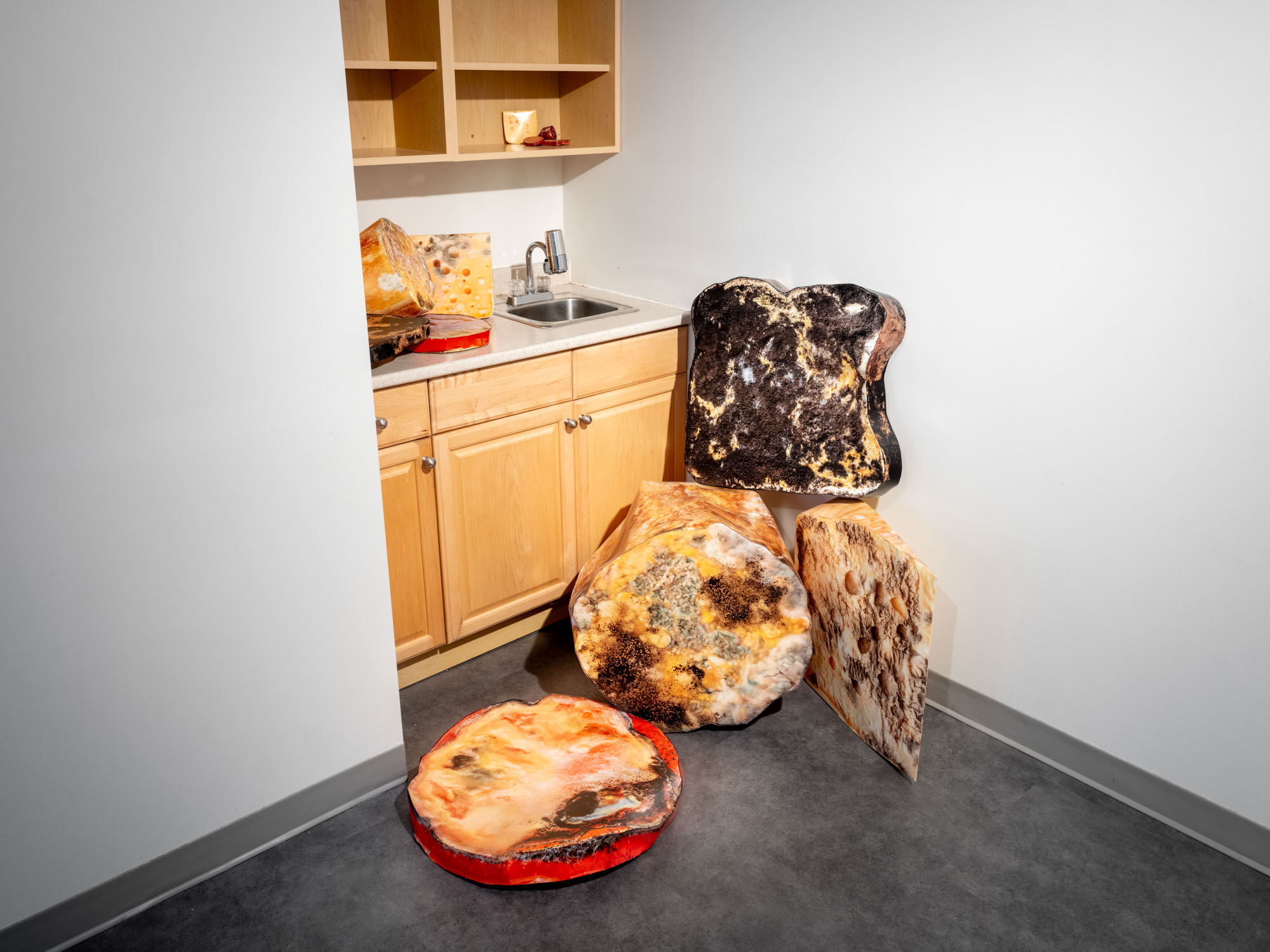 FACE / WASTE documentation 29