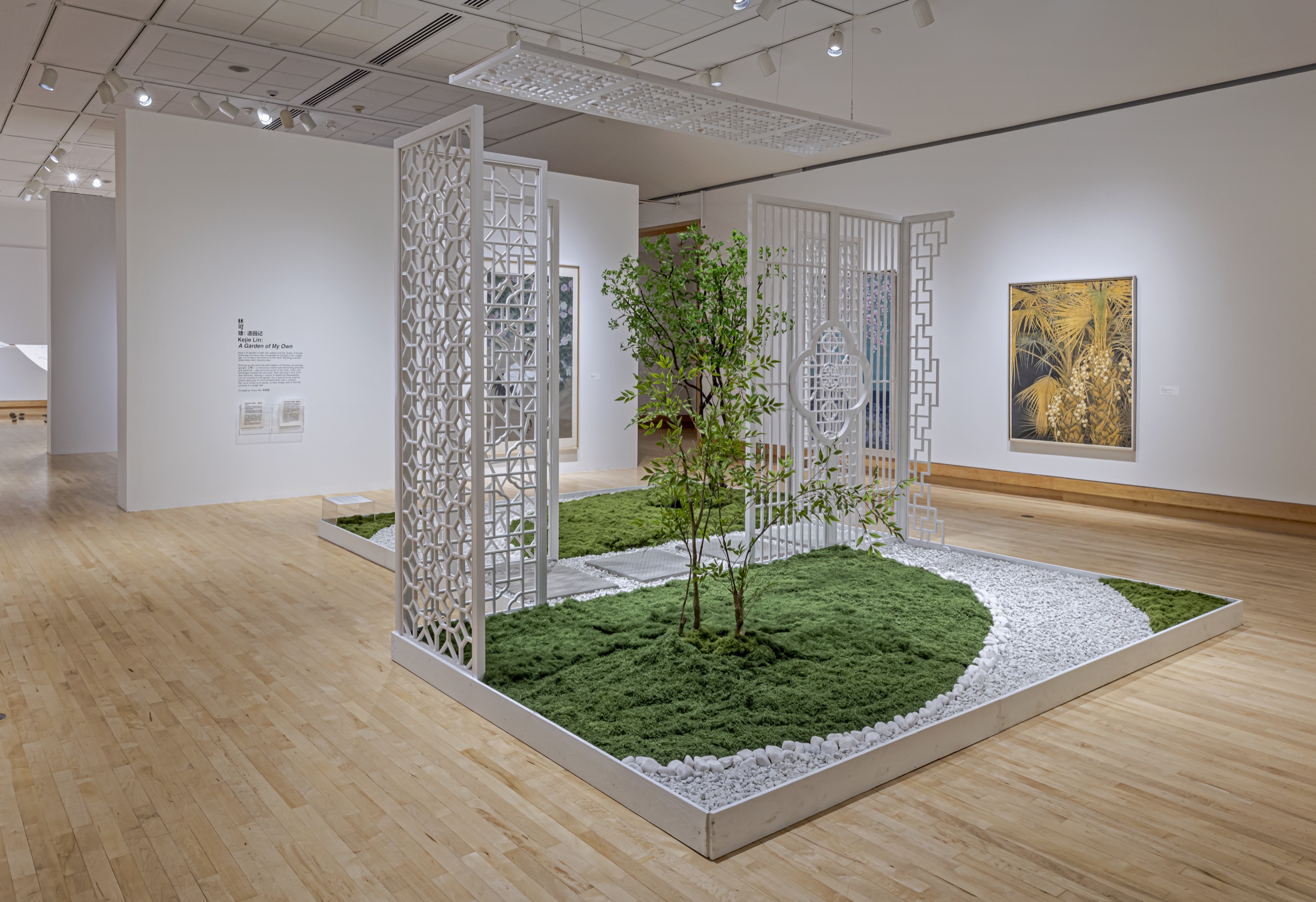 Kejie Lin: A Garden of My Own installation view