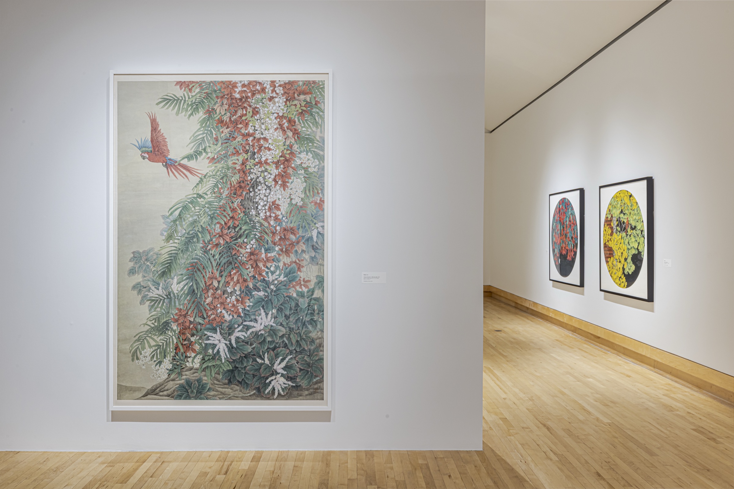Kejie Lin: A Garden of My Own documentation 9