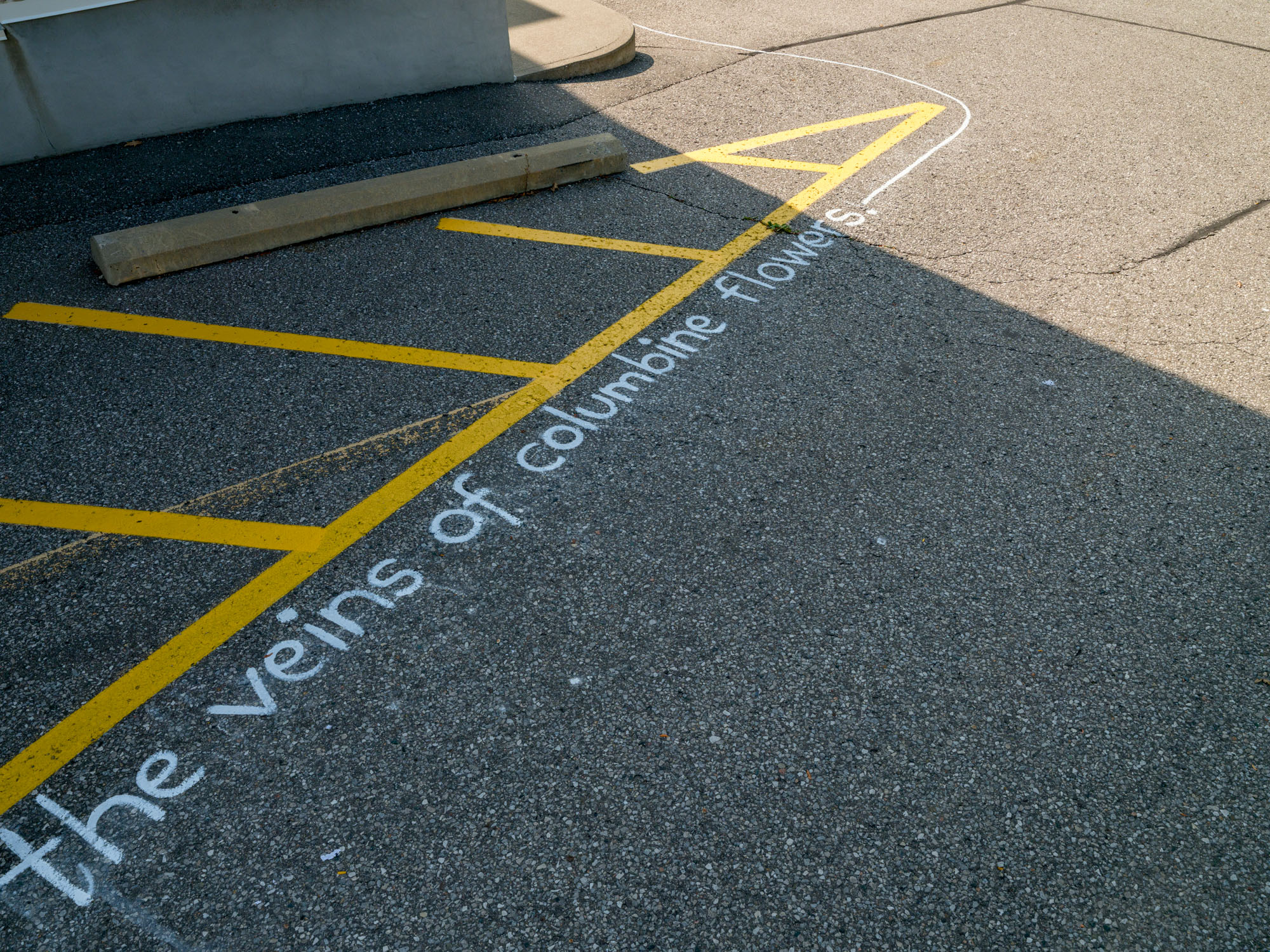 Structural Integrity: A Poetic Intervention documentation 10