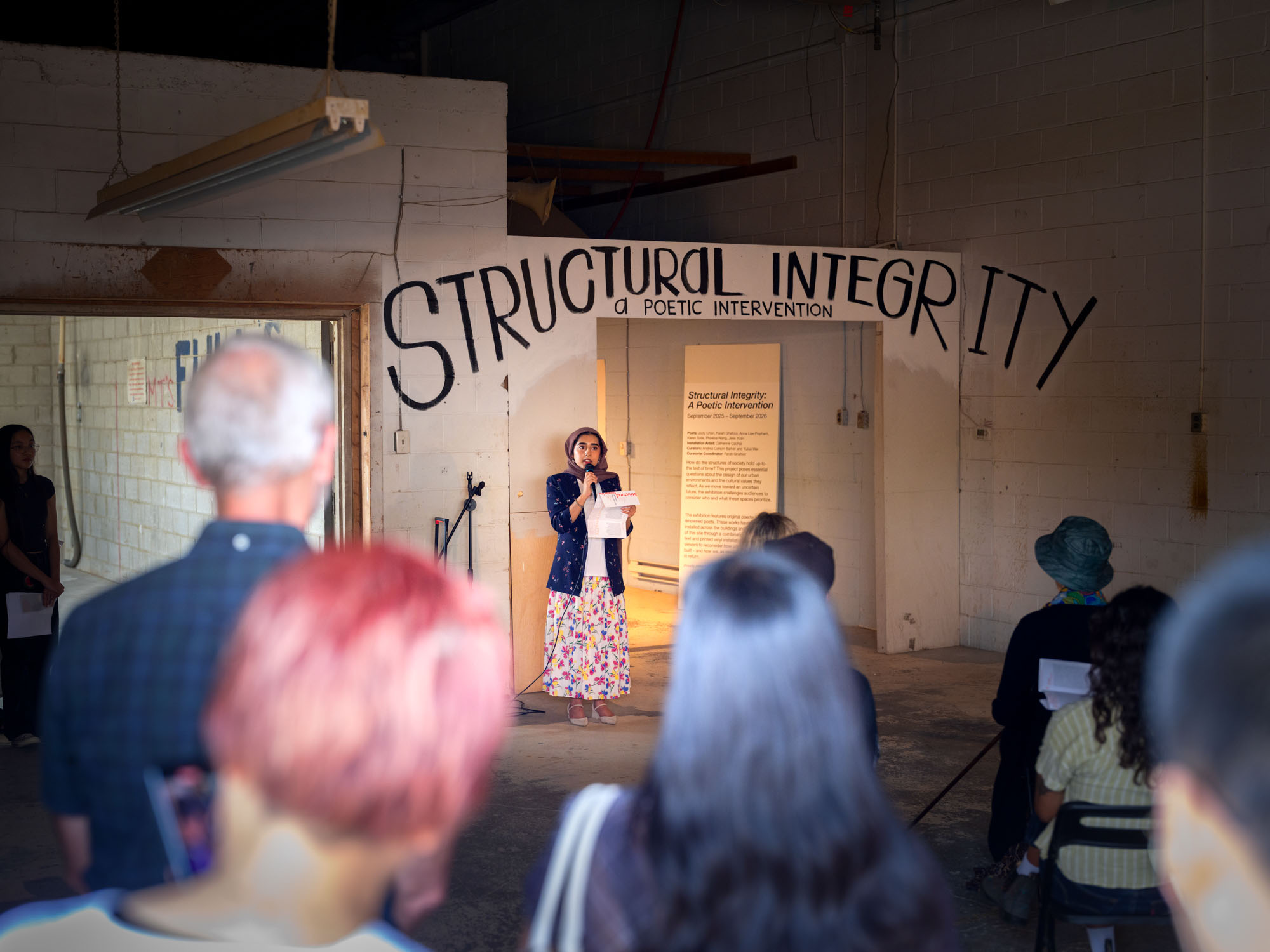 Structural Integrity: A Poetic Intervention opening 5
