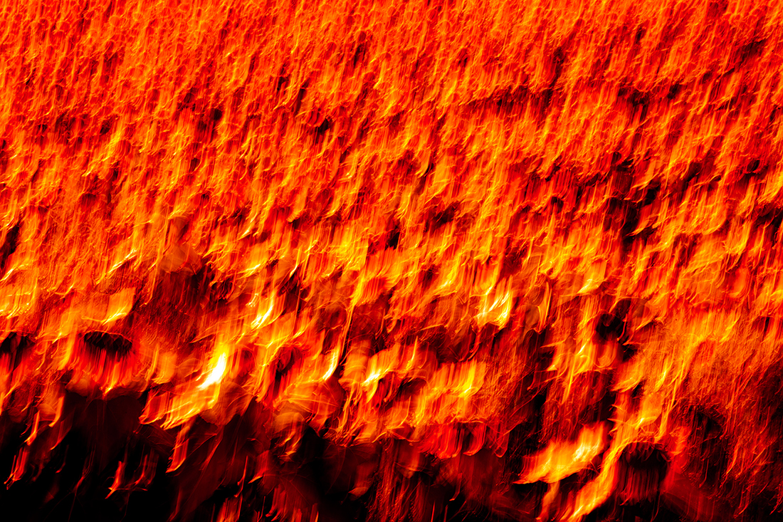 Sunflower: Reverberations of Self documentation 4
